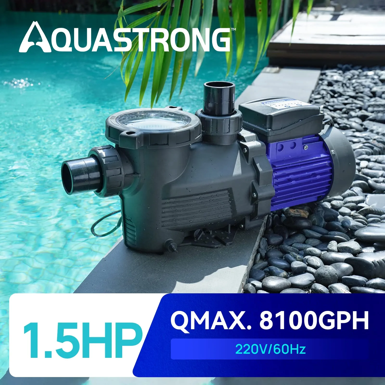 PSP150T 1.5 HP  220V Pool Pump with Timer, 8100 GPH