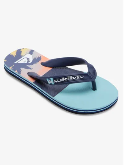 QUIKSILVER KIDS MOLOKAI ART THONGS