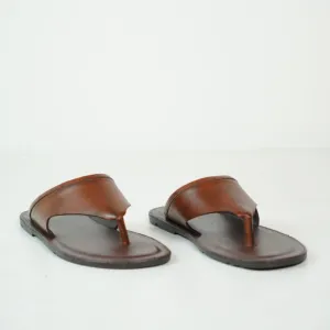 THE SHADED BROWN - 2479